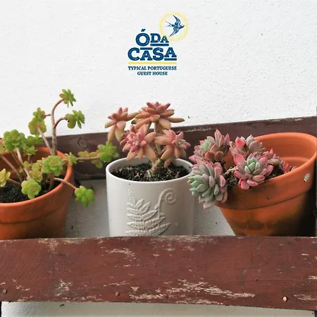 招待所 O Da Casa 佩尼契